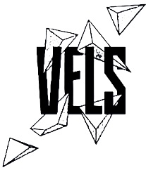 Logo VELS
